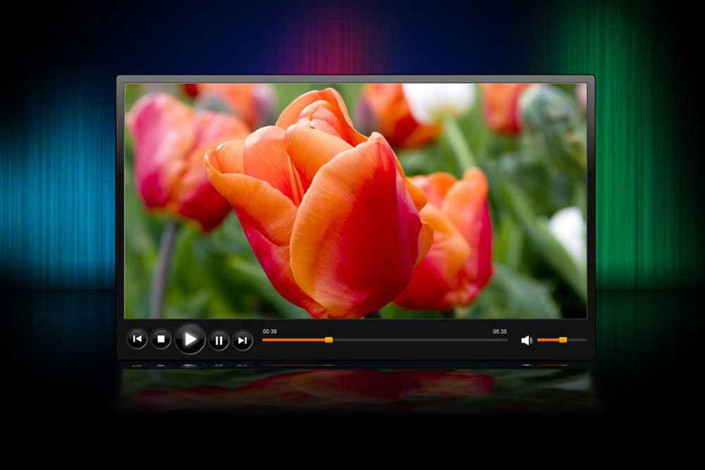 Roku Media Player – A closer insight